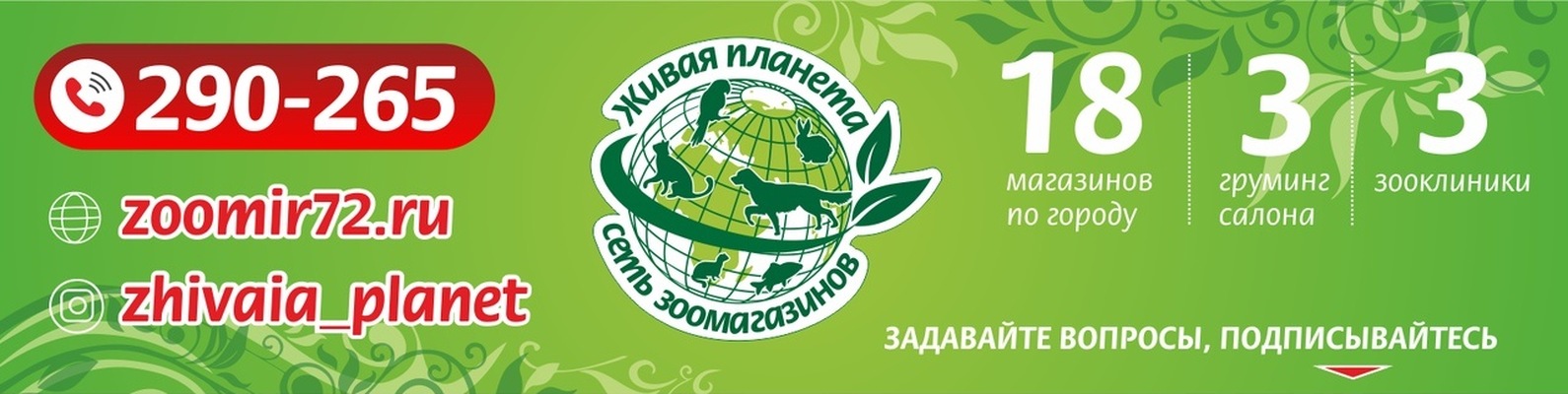 Магазин Живая Планета Тюмень Магазин Живая Планета Тюмень