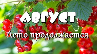 Доброго августовского утра! Пожелание С добрым утром и хорошим днем