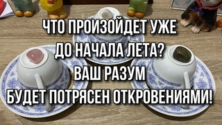 Что произойдет уже до начала лета Ваш разум будет потрясен откровениями! Гадание на кофе