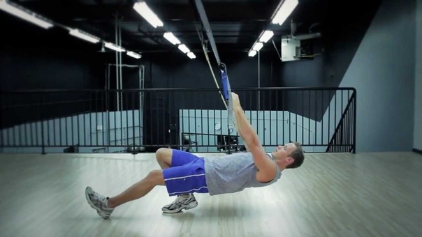The Human Trainer Suspension