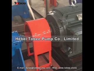 Tobee 3x2D HH Pond Feed Pumps