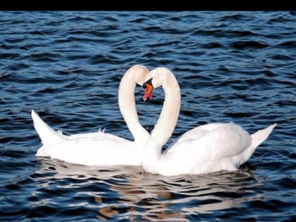 Entrer dans