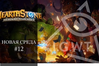 Hearthstone: Потасовка. Новая среда #12