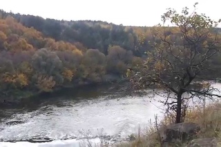 Чайок на скалі - с.Губків