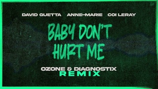 David Guetta, Anne-Marie, Coi Leray - Baby Dont Hurt Me (Ozone & Diagnostix remix) VISUALIZER