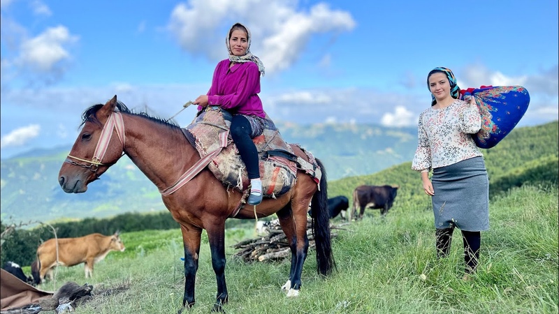 Moving Cows to Another Yaylag through the Mountains and Stayed in New