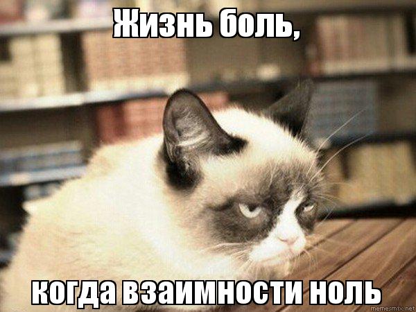 Мем с добрым утром с котом