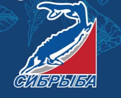 Сибрыба ул кутузова 1 стр 31 фото