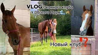 VLOG у Моря Обского🌊/ Конный дневник🐴