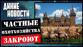 Нападение медведя на клубнику/Не добыл кабана штраф/Мельница убийца/Убил маралов перед отсидкой/