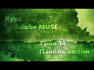 Курс Adobe Muse урок 14 Панель опций.