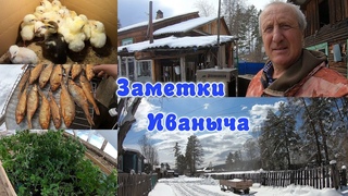 Вывозим 30 тележек снега, но помидоры в теплицу вынесли