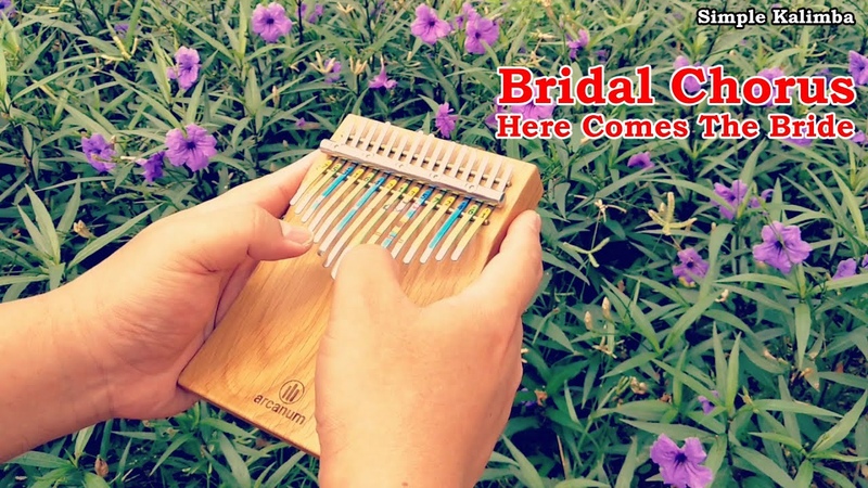 ( Bridal Chorus) Here Comes The bride Kalimba Cover with Arcanum S15