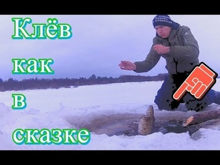 КЛЁВ КАК В СКАЗКЕ! Всем такой рыбалки. Рекорд по налиму взят! - Болен Рыбалкой №410