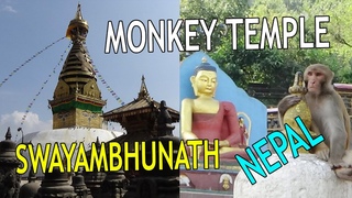 monkey temple | swayambhunath kathmandu nepal