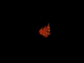 Видео от Plut