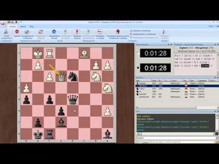 145 Ёж Колючий