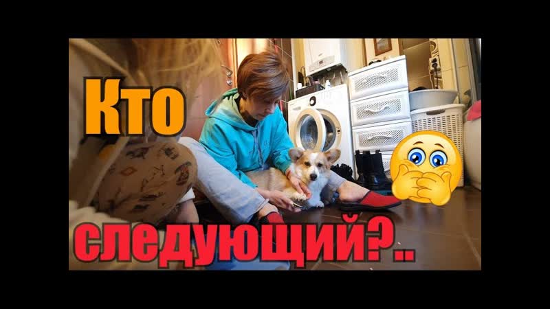 Кое что для сыроделия, ,Стеша ассистент , , Пристраиваю