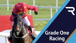 WHAT A PERFORMANCE after 487 days off and a big gamble too - KLASSICAL DREAM wins at Punchestown