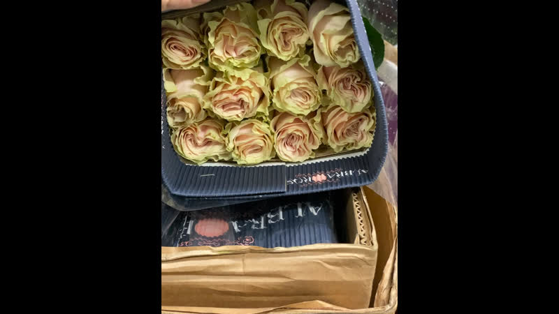 Видео от Green Colour цветы