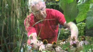 David Hobson