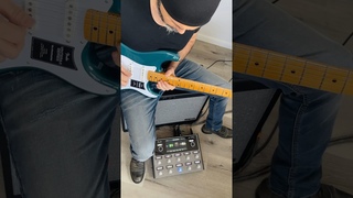 Pink Floyd - Time - Fender Tone Master Pro