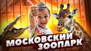 Московский зоопарк 2021. Август. Прогулка.