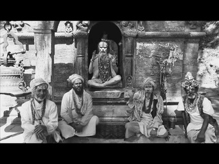 Dub Pure And Clean Selection