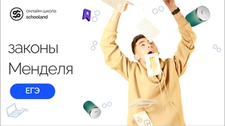 Законы Менделя | Годовой курс | Биология | Schooland