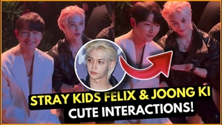 Stray Kids Felix and Song Joong ki cute interactions