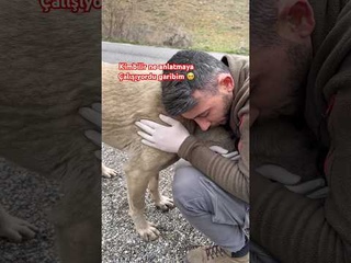 Hkra hkra bir ey sylyor sizce ne anlatmaya alyor  #shortvideo #kefetbeninekar#dog
