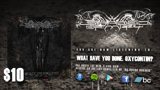 Shaded Enmity Forsaken And Forgotten ( FULL ALBUM
