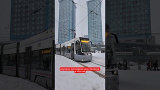 Последние дни поляков в Москве #moscow #russia #shorts #dmitryrogachev