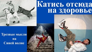 [Красная Республика] - Трезвые мысли на Синей волне. Спецвыпуск #13. «Катись отсюда на здоровье».