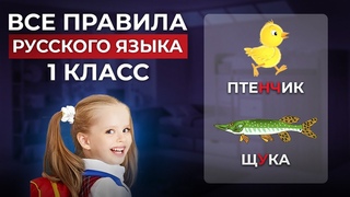 Все правила русского языка 1 класса за 7 минут! Уроки русского языка для первого класса