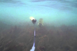 Water Wolf Camera First Test