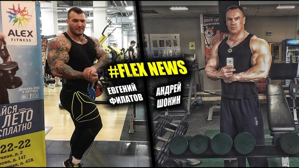 FLEX NEWS Филатов Шокин (ФЛЕКС