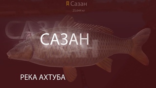 Русская рыбалка 4! Russian Fishing 4! Река Ахтуба - Сазан у базы!
