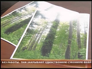 Елки-мутанты