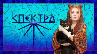 Беспокойная ночь|| 39 серия || СПЕКТРА || D&D