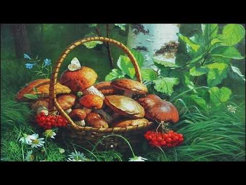 Мой музыкальный клип Я хочу тебя присниться и войти в твой