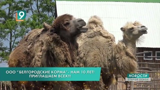Жителей округа приглашают на праздник в Старооскольском зоопарке