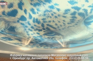 Отзыв о натяжных потолках Мегаполис Лариса