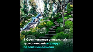 В Сочи появился уникальный туристический маршрут по зеленым оазисам