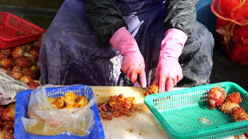 제철 맞은 싱싱한 멍게 손질, Fresh Sea squirt cutting and Sashkmi Korean street