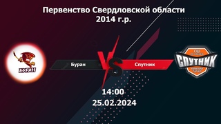 Буран14- 2(Ревда) - Спутник - 14(Нижний Тагил) . Первенство Свердловской области