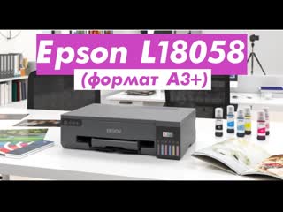 Epson L18058 (формат А3+)