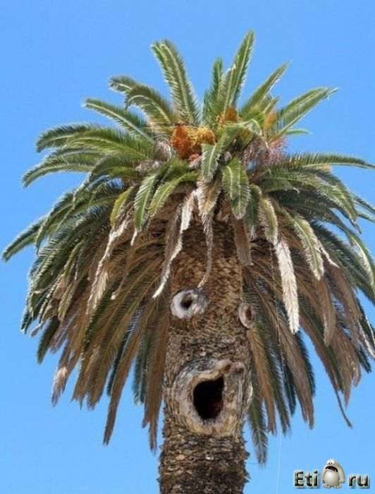 Виктор Дроздов Vitek | 