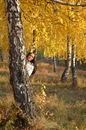 Фотография Дьяченко Натальи