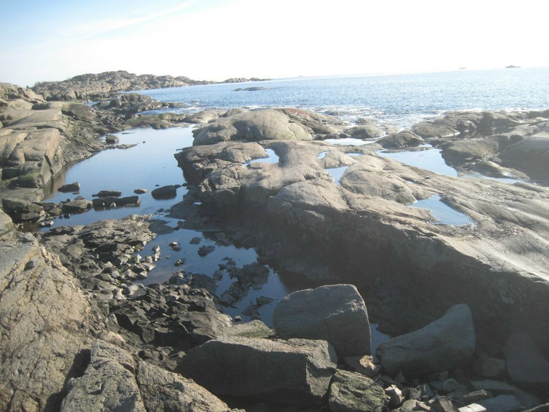 Елена Карлсен | Tønsberg